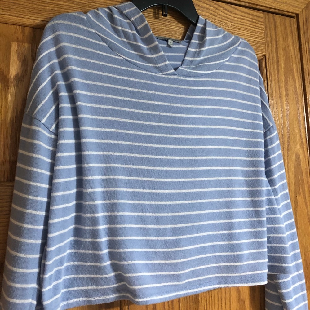 Blue striped cropped sweatshirt